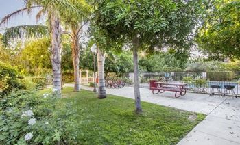 Bbq/picnic area